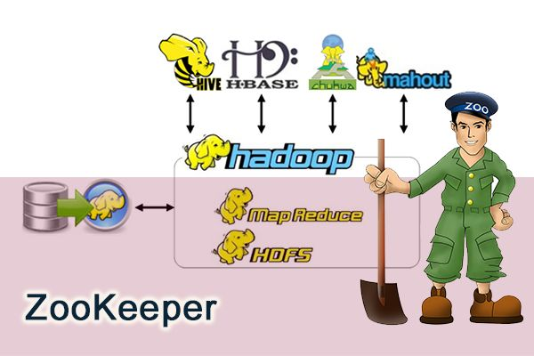 ZooKeeper（LOOK）
